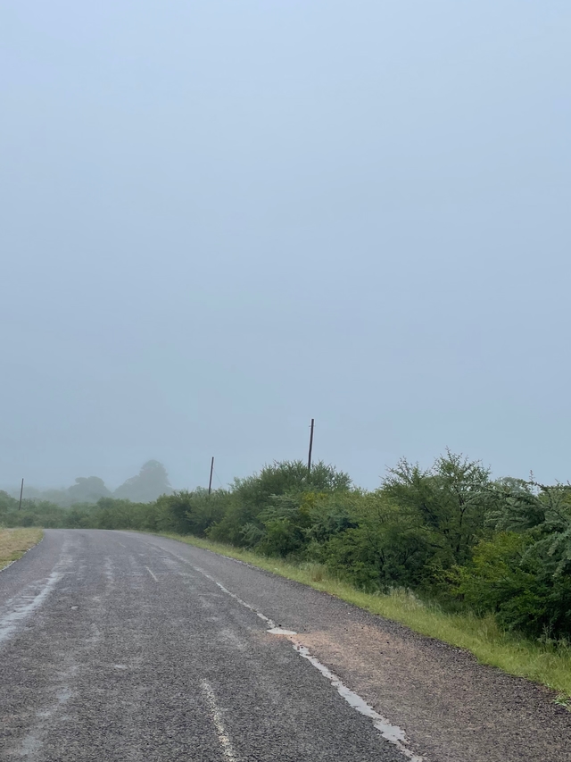 Thumbnail image for post titled - ambient escapes